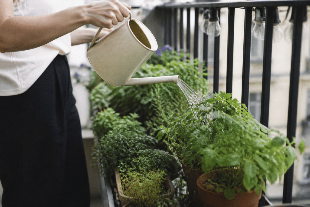 Mains versant eau sur plantes en pots balcon