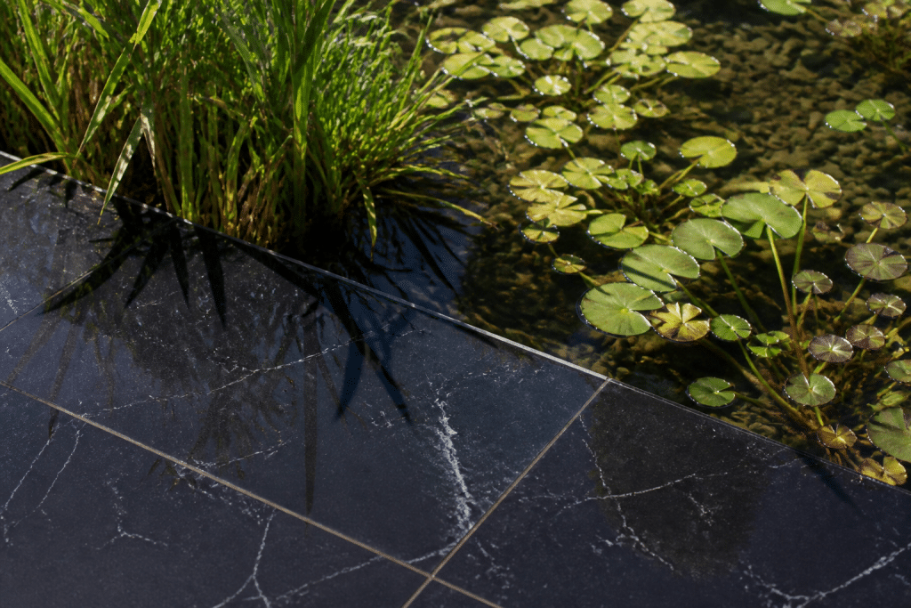 Carrelage noir brillant et plantes aquatiques sous soleil intense