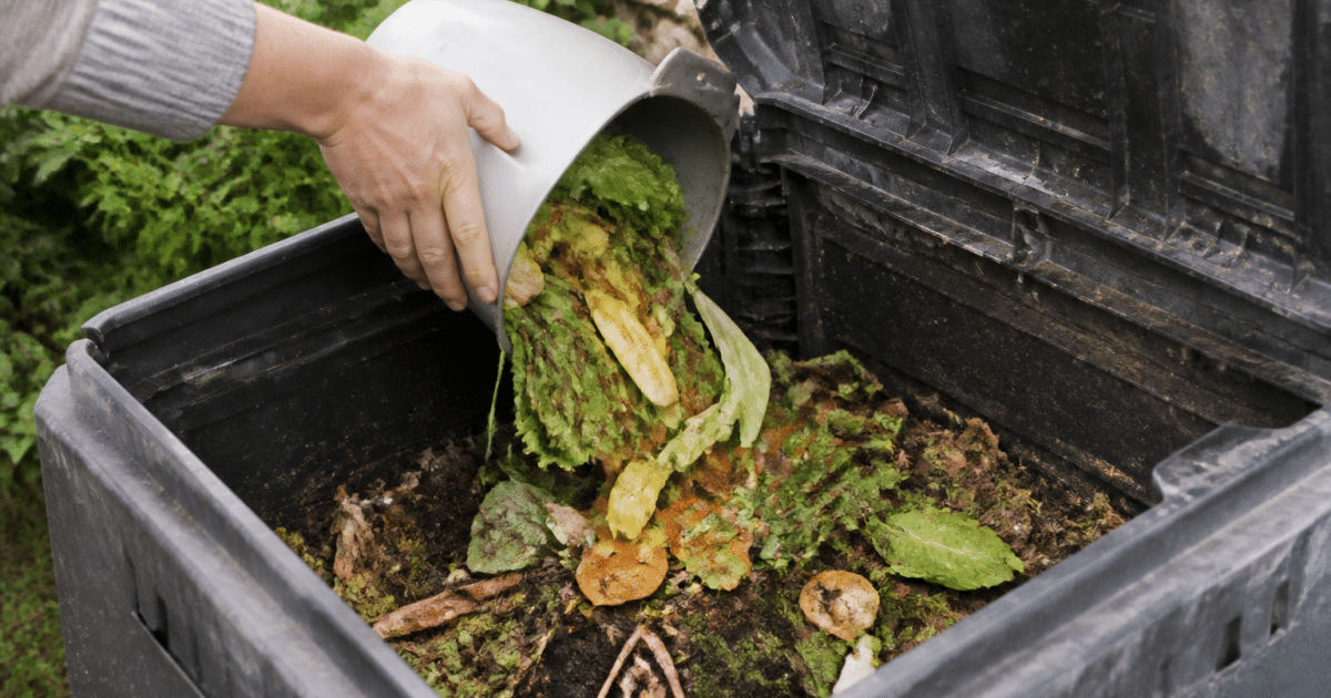 Mains versant dechets organiques dans bac compost ouvert