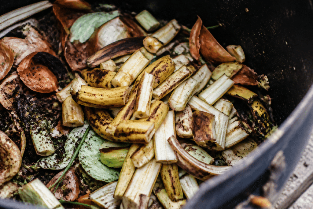 Pelures de banane decoupees dans un bac compost