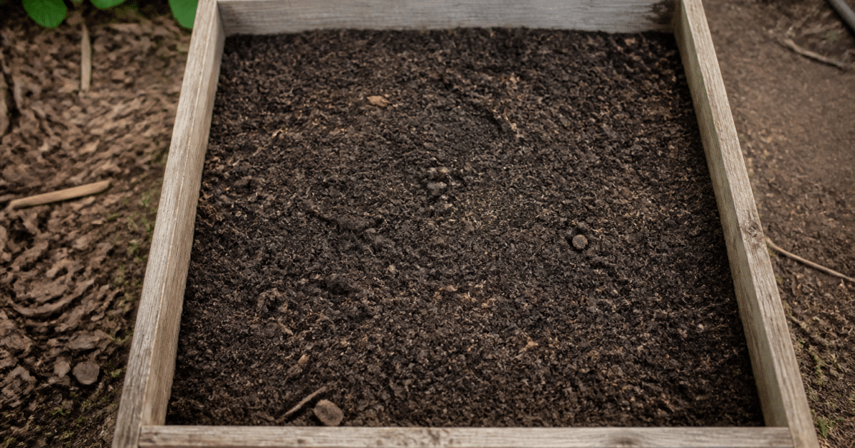 Bac de bois rempli de terre, vue de dessus du jardin potager