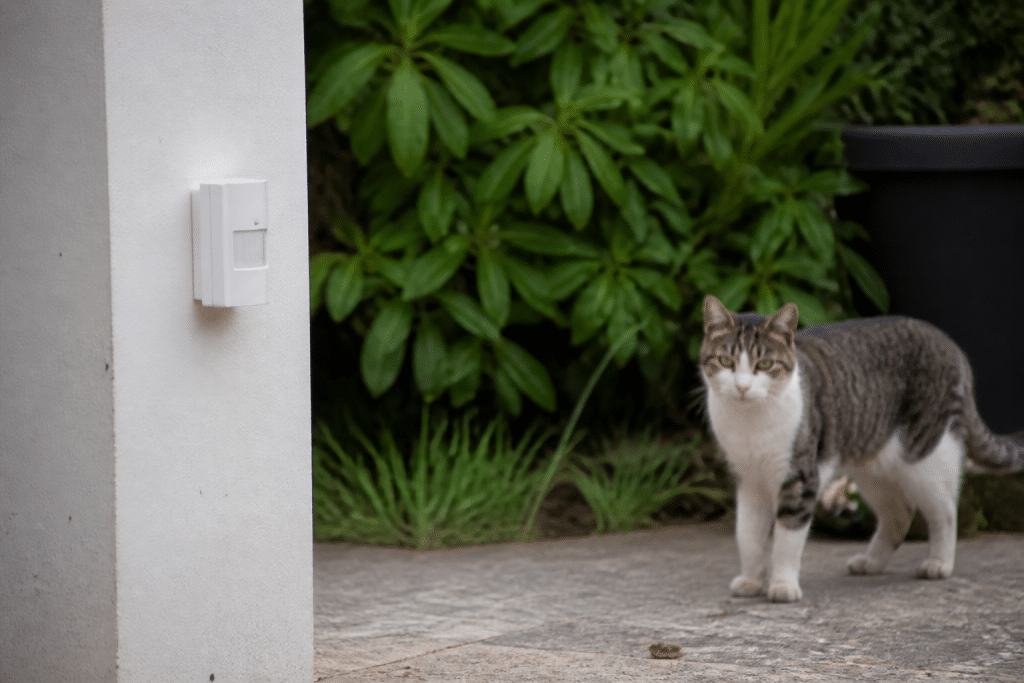 Petit appareil blanc avec capteur détectant chat près jardin