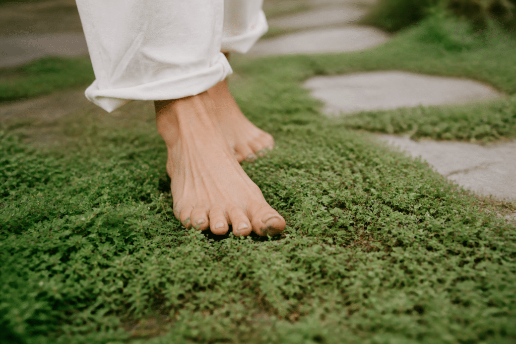 Pieds usant rapidement petit thym rampant vert clair