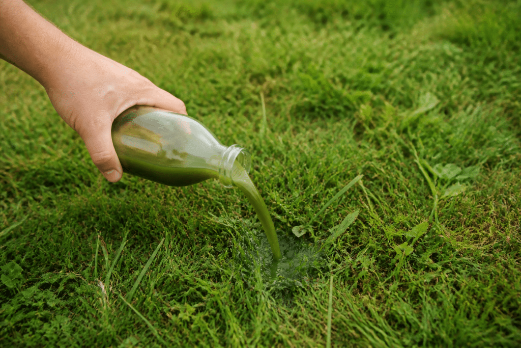 Main versant liquide vert sur herbe verte luxuriante